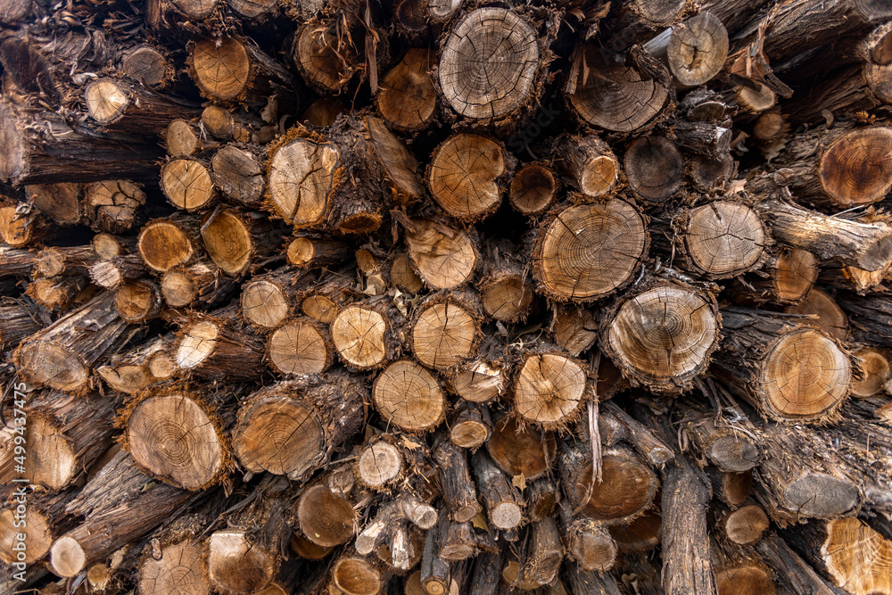 Stack of firewood