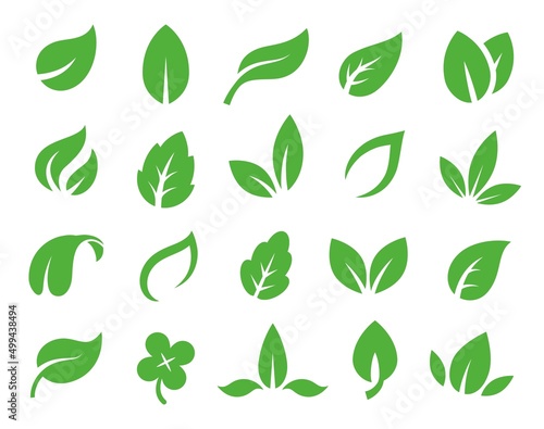 Green leaves nature eco logo. Fresh organic plant symbol, vegan label icons. Ecology and healthy life emblem. Bio eco-friendly, environment care vector set