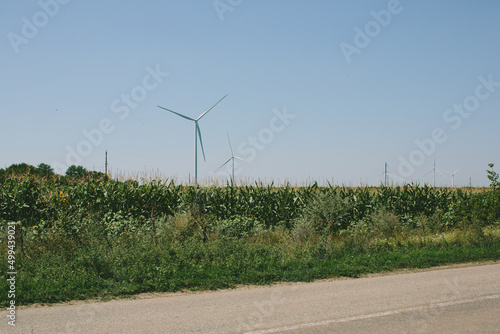 Road in the Odessa region of Ukraine with a view of the windmills