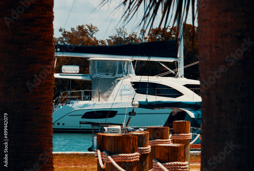 A boat in a lake
