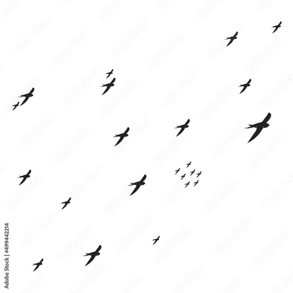 Fototapeta premium flying swallow icon
