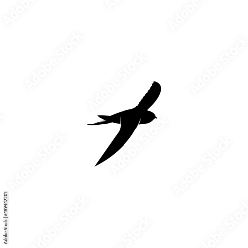 swallow logo