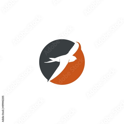 swallow logo