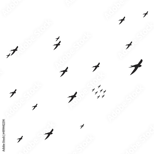 flying swallow icon © RN 3540