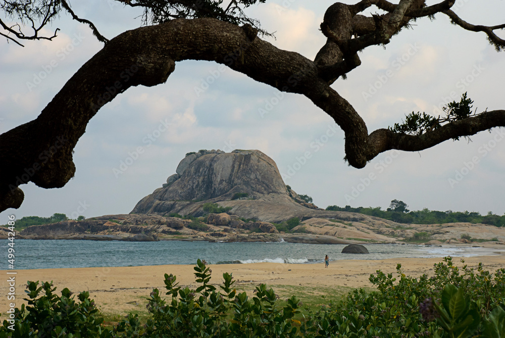 Fototapeta premium Patanangala Rock (also known as Elephant Rock) in Yala National Park, Sri Lanka.