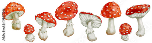 Set of watercolor fly agaric mushrooms.