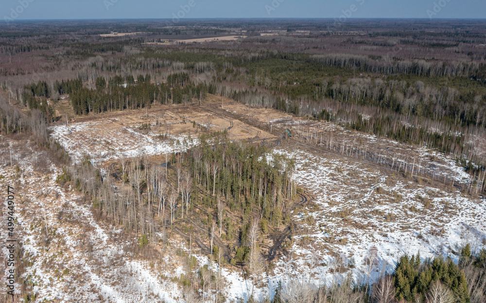 Aerial view to the woodland, badly suffered from unsustainable forest cutting and forest soil destruction by using heavy machinery during the non-frozen season