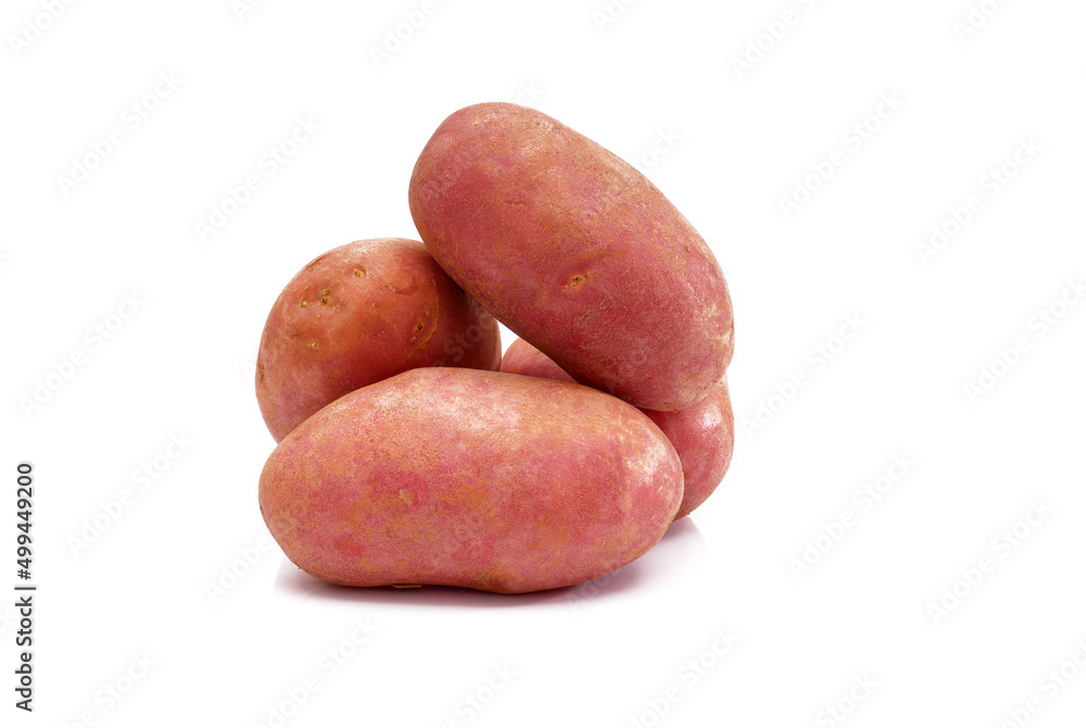 Clean ripe potato tubers isolated on white background. Washed red potato tubers. Clean ripe potato tubers isolated on white background. Washed red potato tubers.