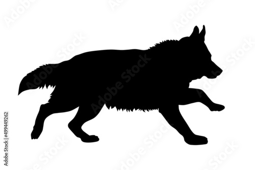 German shepherd