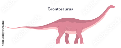 Big brontosaurus with a long neck and tail. Herbivorous dinosaur apatosaurus of the Jurassic period. Vector cartoon illustration isolated on a white background