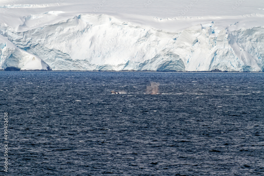 Cruising in Antarctica - Fairytale landscape Cruising in Antarctica - Fairytale landscape