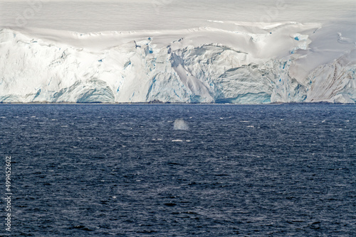 Cruising in Antarctica - Fairytale landscape