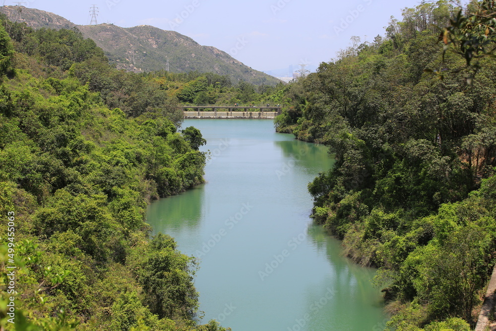 hong kong reservoir view with the forest coast