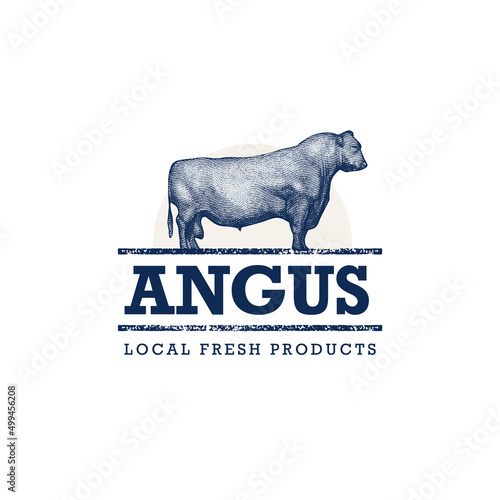 Black Angus Cow Engraving Illustration. Fresh Local Farm Food Design Element. Ranch Bull Vector Sign  photo
