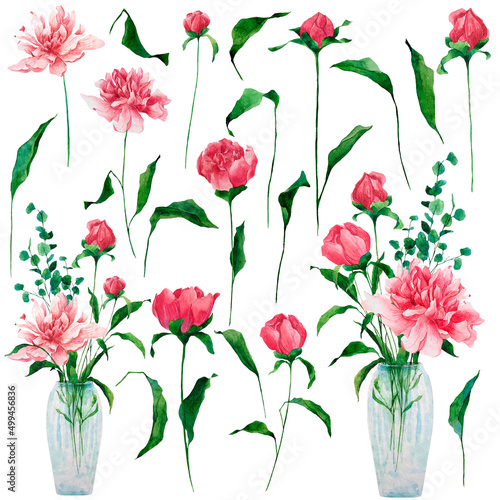 Set of watercolor illustrations of bright pink peonies and buds isolated on a white background. Hand-drawn botanical illustration. Floristic elements for compositions, decoration, backgrounds