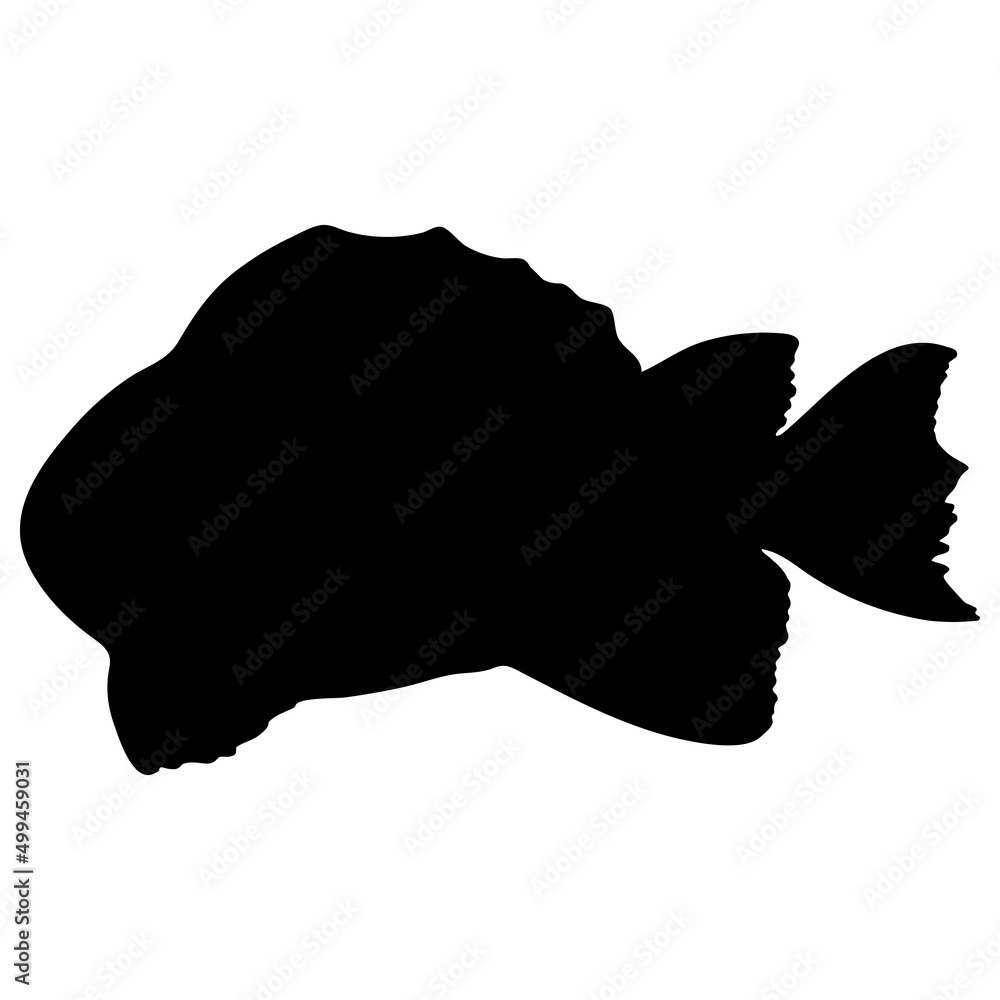 Fish Silhouette Illustration Isolated on White Background. Vector Black Fish Illustration. Fish Silhouette Illustration Isolated on White Background. Vector Black Fish Illustration.