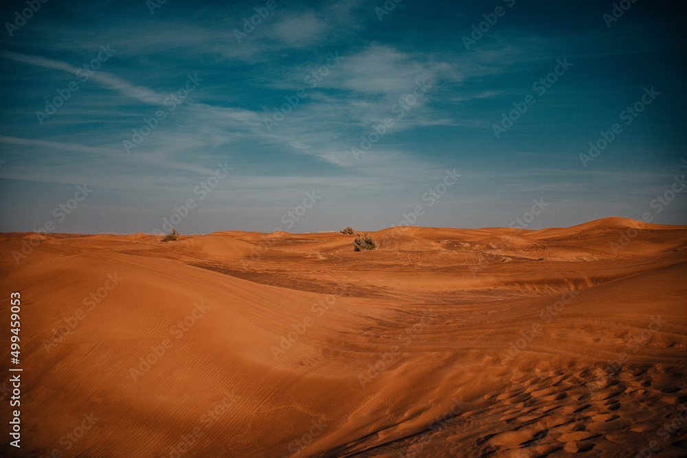 Sundown in desert. Red sand desert background.