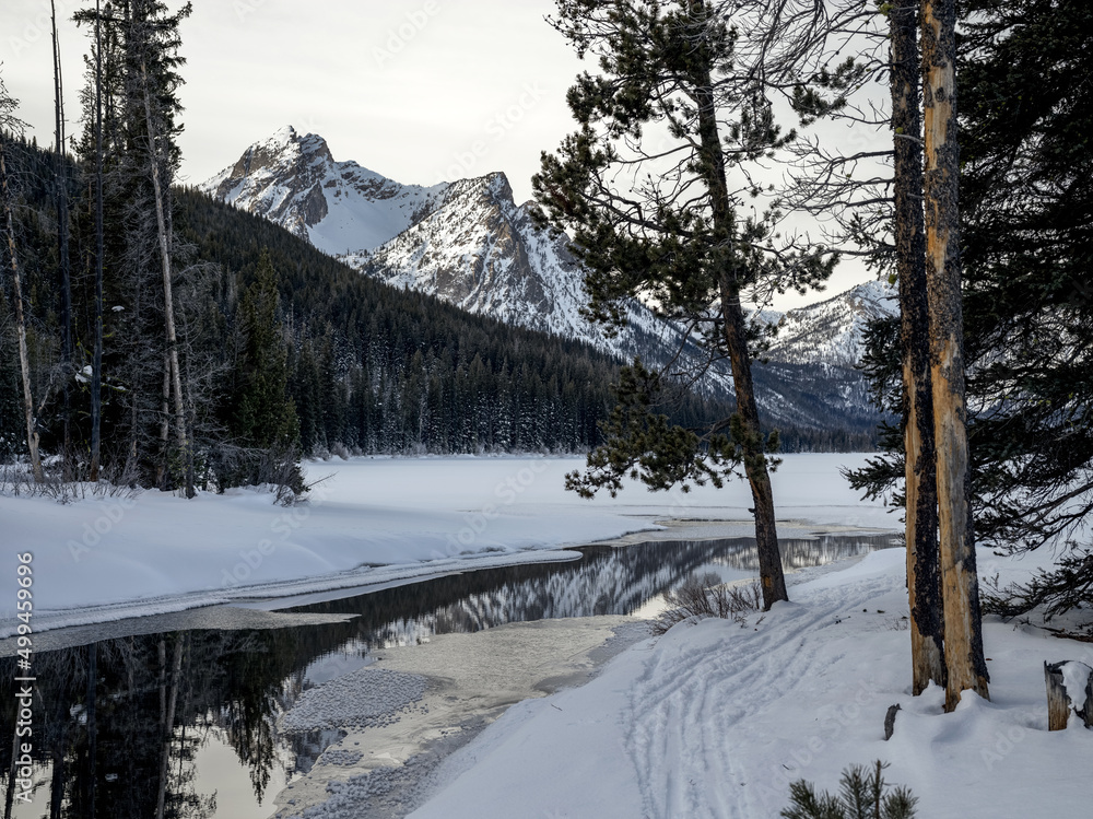 Cross country ski trails lead through forest along a frozen stream Cross country ski trails lead through forest along a frozen stream