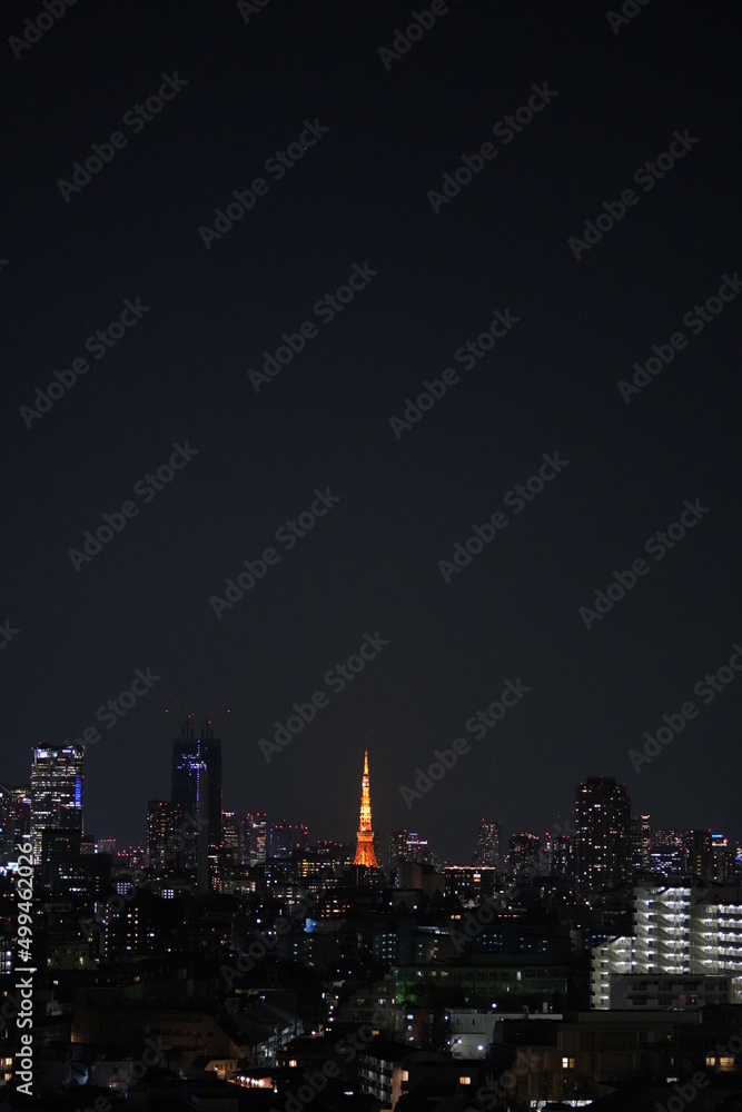 Tokyo Tower (東京タワー)