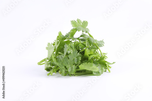 Sliced coriander leaves placed on a white background. It is an edible herb that smells good. It is used for cooking and decorating food.