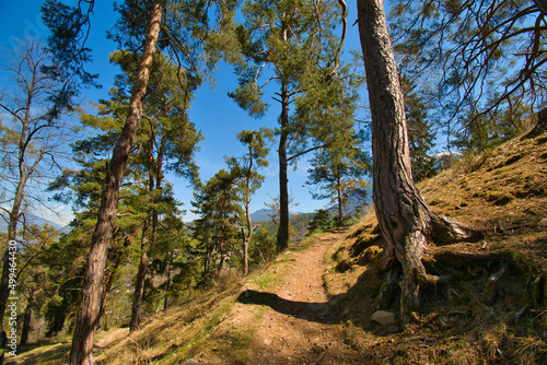 Landschaft um V  ls am Schlern in S  dtirol