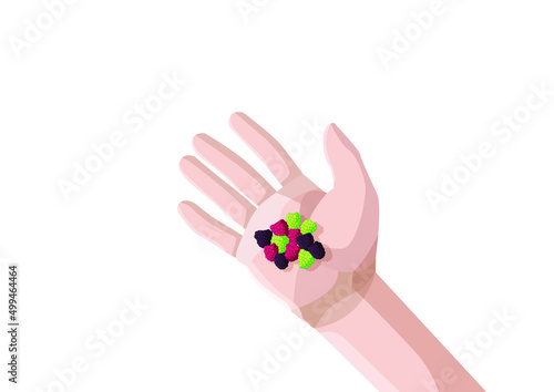 raspberry in hand and fruit fresh isolated on white background illustration vector
