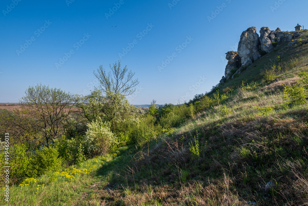 Amazing spring view on the Dnister River Canyon with picturesque rocks, fields, flowers. This place named Shyshkovi Gorby, Nahoriany, Chernivtsi region, Ukraine. Amazing spring view on the Dnister River Canyon with picturesque rocks, fields, flowers. This place named Shyshkovi Gorby, Nahoriany, Chernivtsi region, Ukraine.