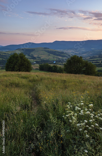 Picturesque June Carpathian mountain countryside meadows. with beautiful wild flowers