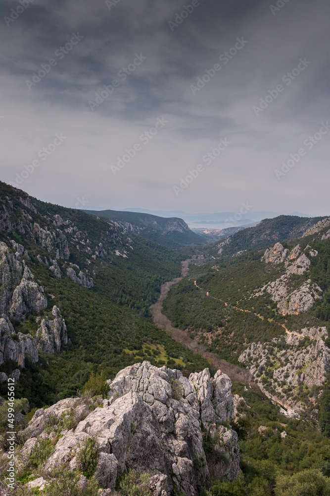 landscape in the mountains