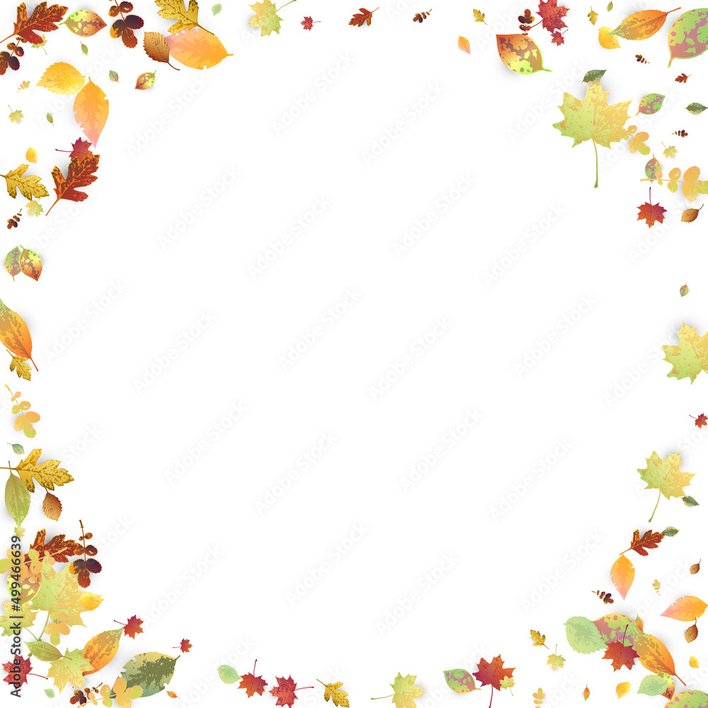 Leaves Falling Autumn Foliage Chaotic Leaf Flying Leaves Falling Autumn Foliage Chaotic Leaf Flying