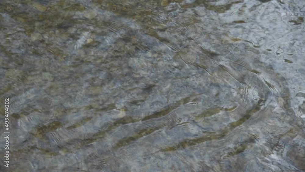 Clear running water in the river, through which you can see the rocky bottom. Clear running water in the river, through which you can see the rocky bottom.