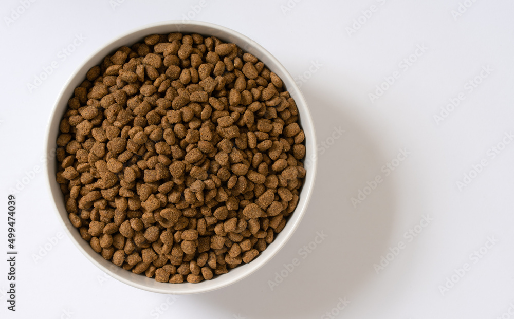 Cat Food in a Bowl Cat Food in a Bowl