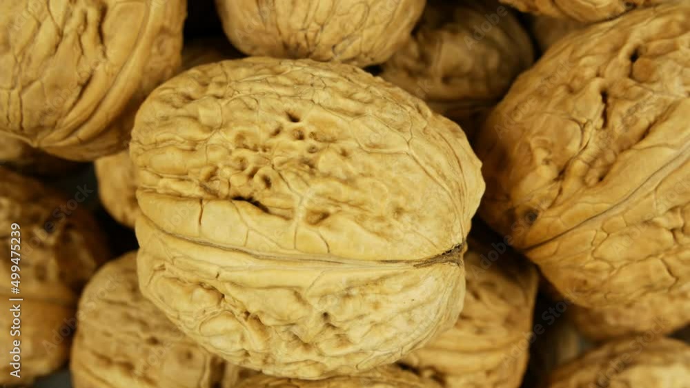 A pile of nuts in shell rotate, camera focuses on one nut. Close up top view A pile of nuts in shell rotate, camera focuses on one nut. Close up top view