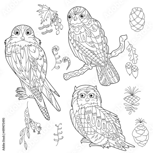 Contour linear illustration for coloring book with decorative falkon. Beautiful predatory bird, anti stress picture. Line art design for adult or kids in zen-tangle style, tatoo and coloring page.