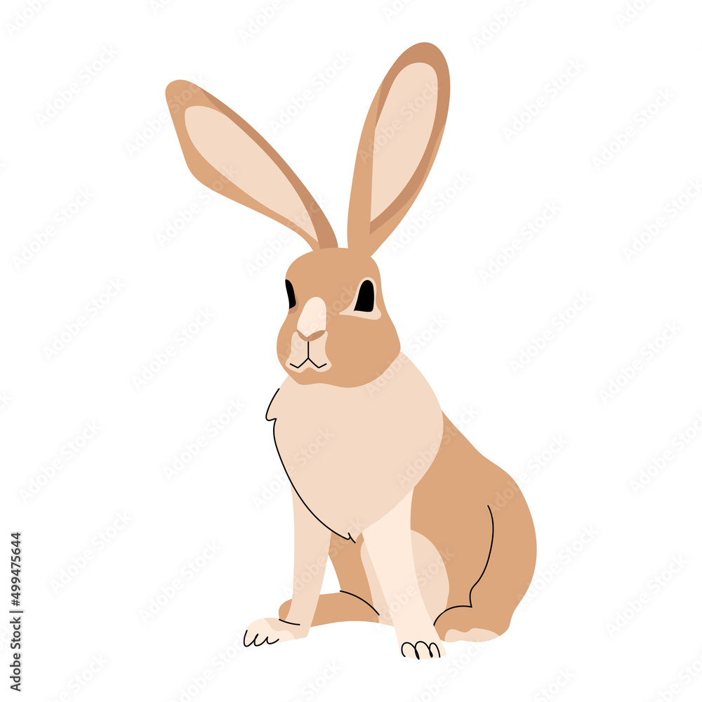 Cute brown rabbit isolated on white background. Animal character vector illustration Cute brown rabbit isolated on white background. Animal character vector illustration