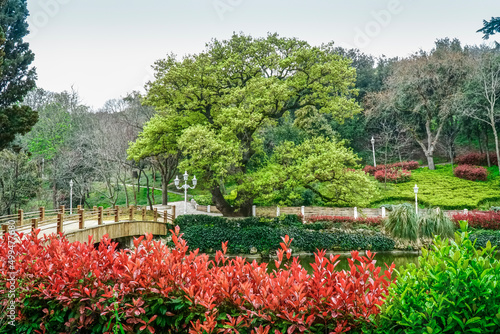 Colorful view of park with small lake and trees around. Touristic fresh park in city