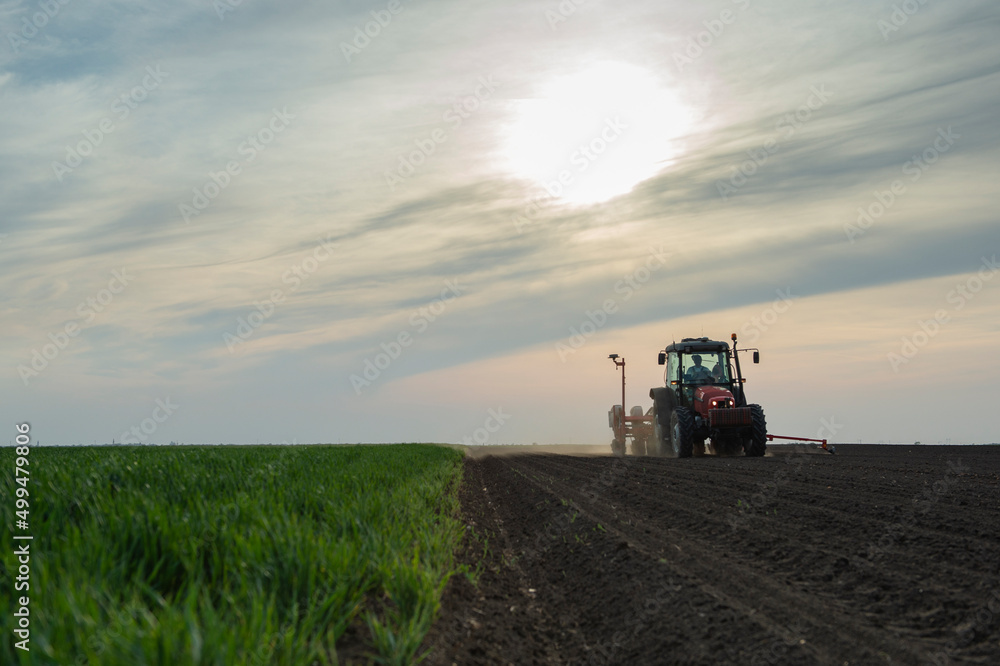 Sowing crops at agricultural fields in spring Sowing crops at agricultural fields in spring