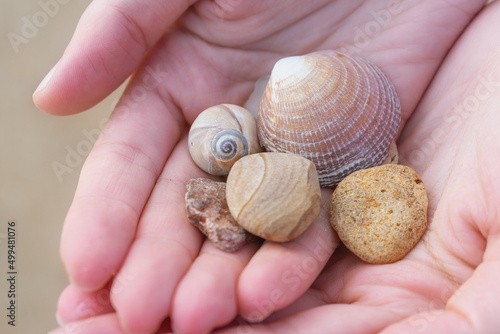 A handful of sea shells in the beautiful hands of a girl