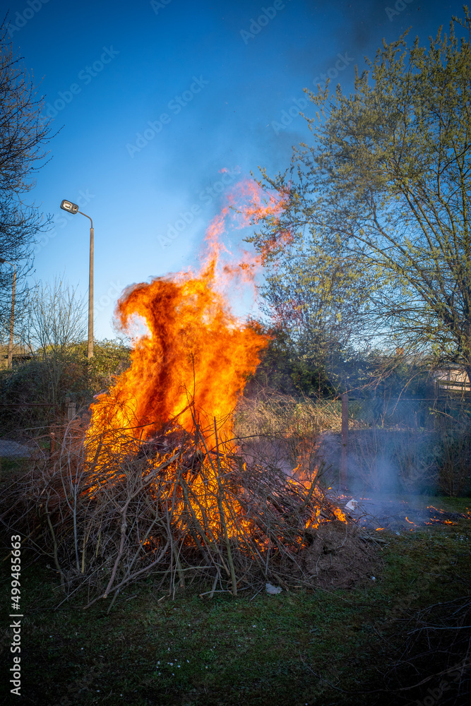 bonfire burns with big blazing flames