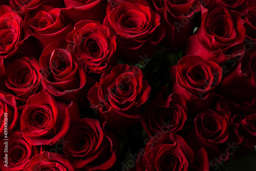 Bouquet Of Beautiful red Roses. Trend color classic red. . Valentine s Day. Selective Focus. Roses wallpaper. Background