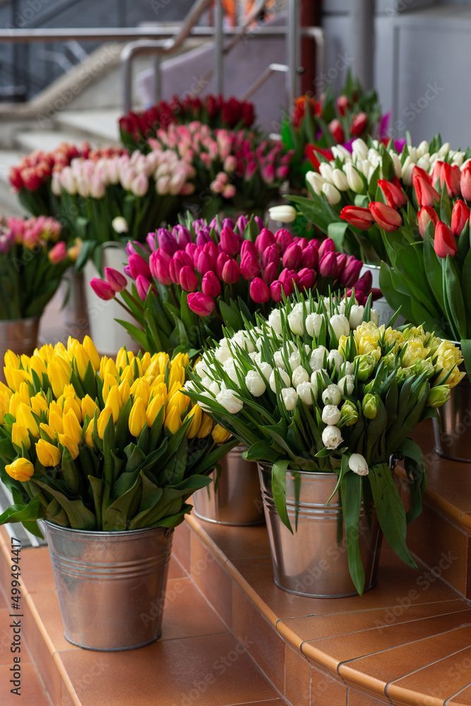 Many different colors on the stand table in the flower shop. Showcase. Background of mix of flowers. Beautiful flowers for catalog or online store. Floral shop and delivery concept. Many different colors on the stand table in the flower shop. Showcase. Background of mix of flowers. Beautiful flowers for catalog or online store. Floral shop and delivery concept.
