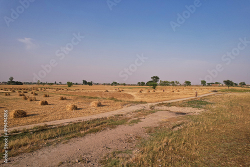 aerial view of Pakistani agricultural farms at kala shah kako photo