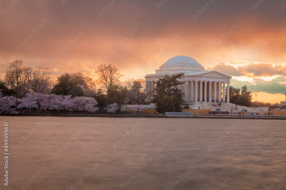 Obraz premium Jefferson Memorial in Washington DC during the blooming of the Japanese Cherry Blossoms