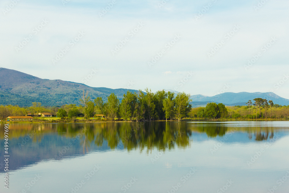 Trees reflected in the river. Natural mirror. Selective focus. Copy space.