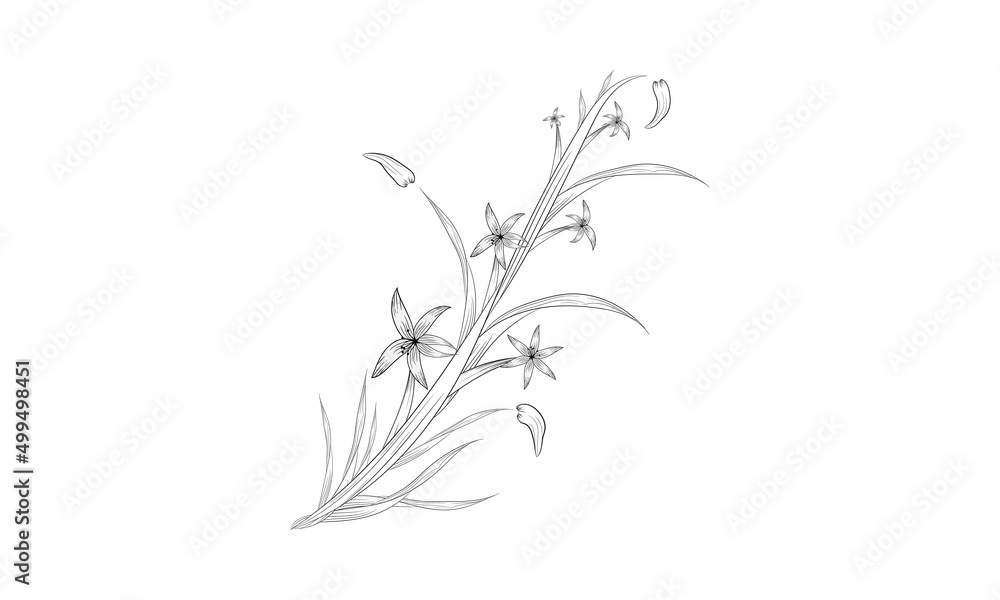 Naklejka premium Black and white hand-drawn sketch floral botany set