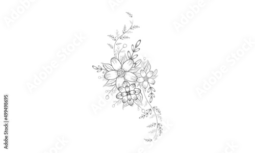 Hand Drawn Botanical Illustrations black and white line art coloring page.