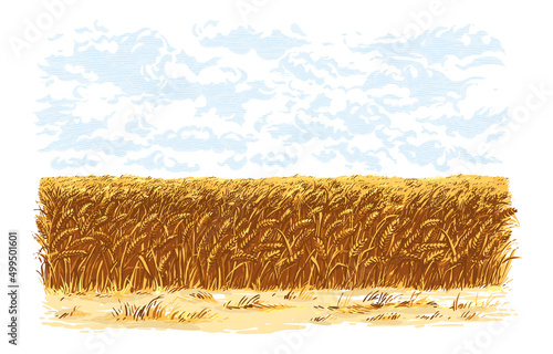 field hand drawing sketch engraving illustration style