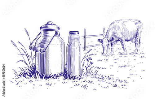 milk in a can and a cow hand drawing sketch engraving illustration style