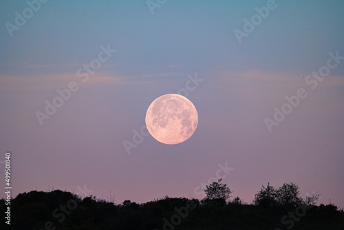 Luna llena rosa al amanecer Luna de fresa