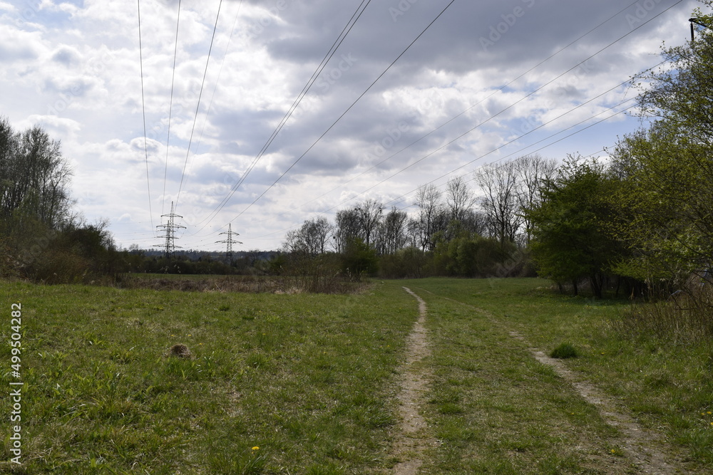 Road in the countryside with electrical towers